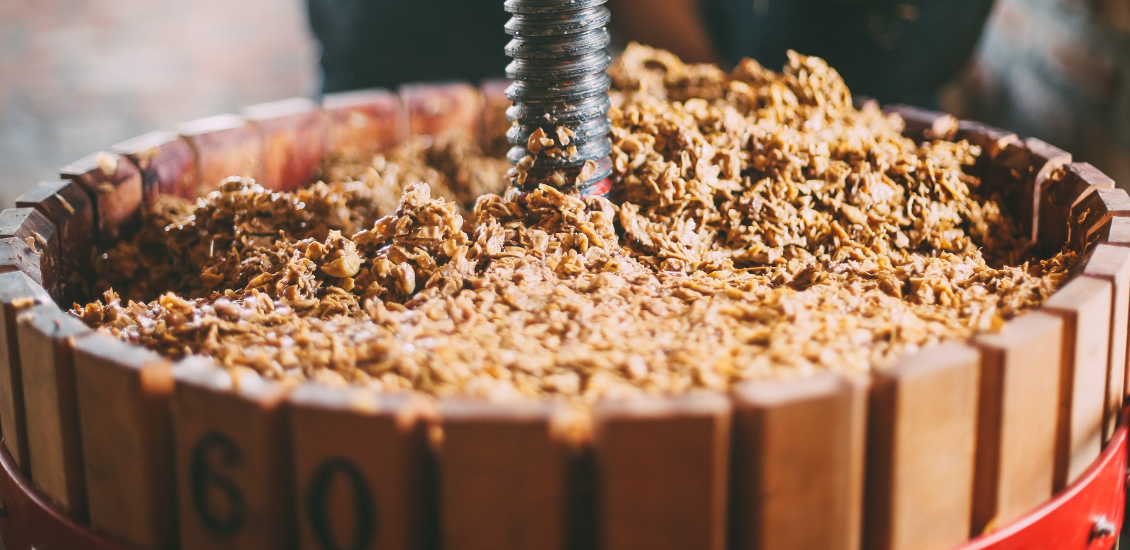 ძველი ვაზი და ტრადიციული ჯიშები